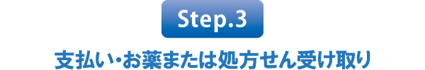 支払い・お薬または処方せん受け取り 支払い・お薬または処方せん受け取り